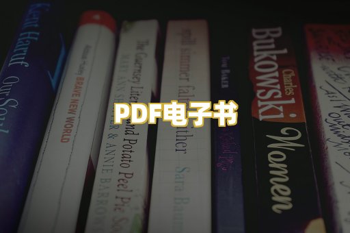 PDF电子书
